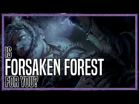 Is FORSAKEN FOREST For You? | Board Game Preview