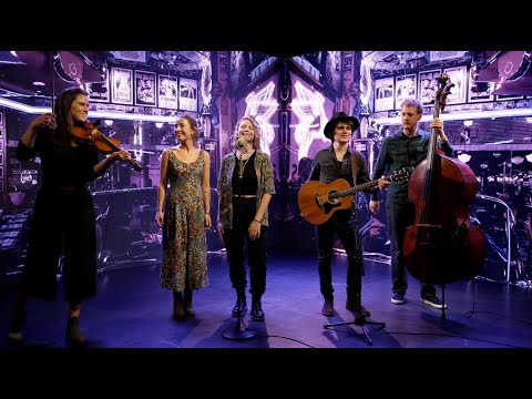 Funkenflug - Shitstorm // Live Session