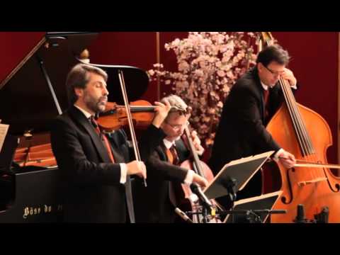 Salonissmo - Hans Moltkau - Cello Romanze