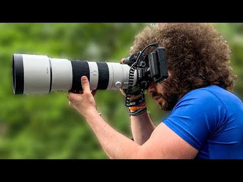 Sony 200-600mm f5.6-6.3 Review | The MUST HAVE Sony LENS for Wildlife & Sports Photography