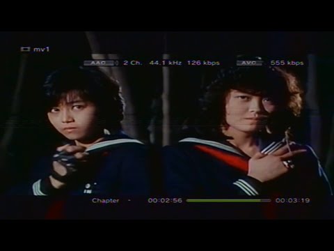 TRAPPIN IN ＪＡＰＡＮ [Collector's Edition 0]  Live  |  ＰＨＯＮＫ ＦＲＩＤＡＹ 009    [HD Encore]