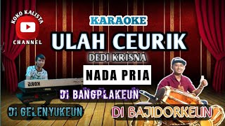 Download lagu ULAH CEURIK KARAOKE NADA PRIA - DEDI KRISNA || BANGPLAK BAJIDOR mp3