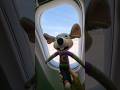 It S A Tiny Plane For Little Chuckecheese This Time On His Trave