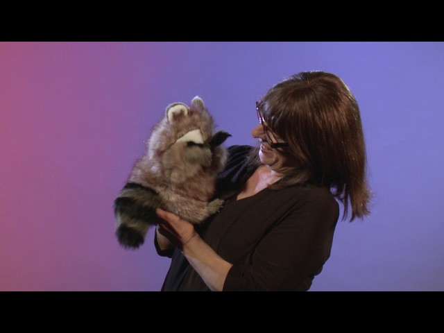 Video Teaser für Folkmanis® Raccoon Puppet Demo