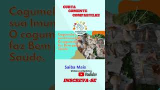 Cogumelos Aumenta a Imunidade