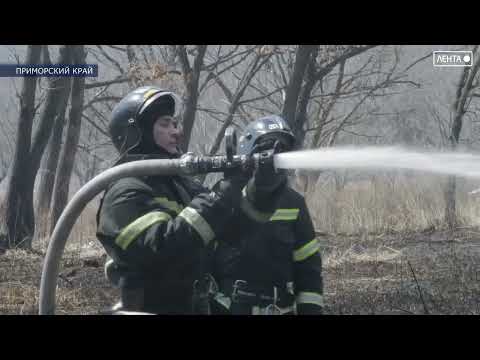 Особый противопожарный режим ввели ещё в одном муниципалитете Приморского края – Пожарском округе