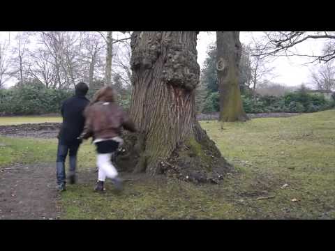Tree Gif
