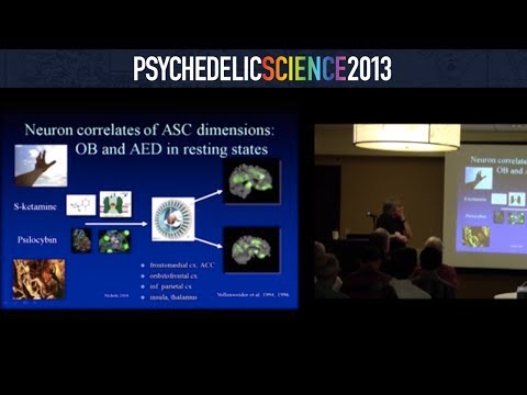 Neuroscience of Psychedelics Workshop - Part 3/4