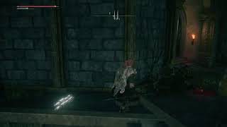 [エルデンリング（ELDEN  RING）]＃10 ゴドリックまってろよ？　ちょー下手だけど王になってみたい！
