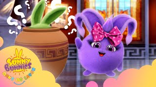 Download lagu Sunny Bunnies Make Me Laugh - HIDE AND SEEK | NEW SEASON 1 | Kids Cartoons mp3
