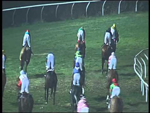 Galoppo 20/12/2015 - 7° corsa