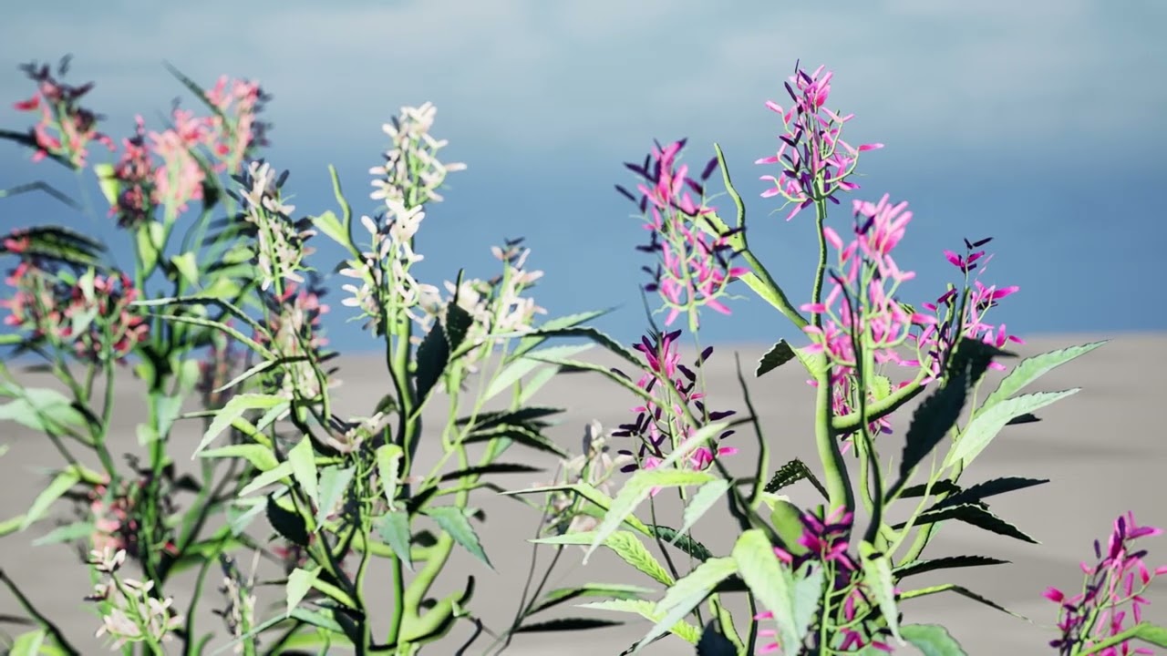 British Hemp-Agrimony Pack 3D Model