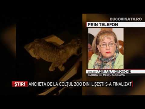 Ancheta de la Coltul Zoo din Ilisesti s a finalizat