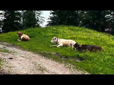 Achensee Radtour 16.06.2025