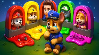 Download lagu My Friends!!! PLEASE Come Back To Me - So Sad Story | PAW Patrol 3D Animation | Rainbow 3 mp3 Download lagu My Friends!!! PLEASE Come Back To Me - So Sad Story | PAW Patrol 3D Animation | Rainbow 3 mp3