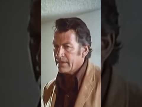 Day of The Wolves #filmhistory #movies #movie #nostalgia