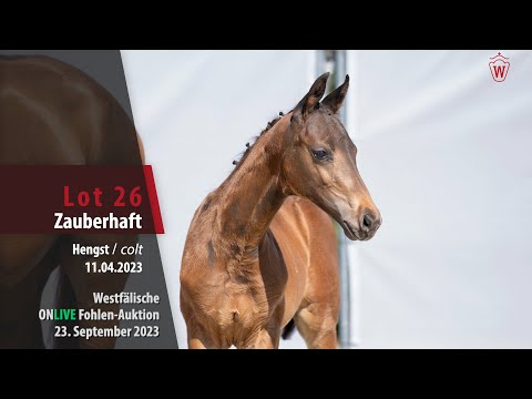 ONLIVE Fohlen-Auktion Lot 26 Zauberhaft Hengst v. Zauberlehrling PS - Foundation