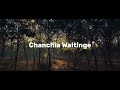 Chanchia Waltinge Ongbewal Sounds Official Lyrics New Garo Song 2025
