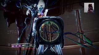 Destiny2(デスティニー)初心者生放送(楽しければ何でもオッケー