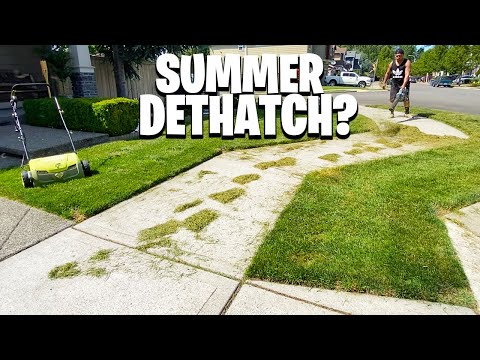 DETHATCH IN THE SUMMER?