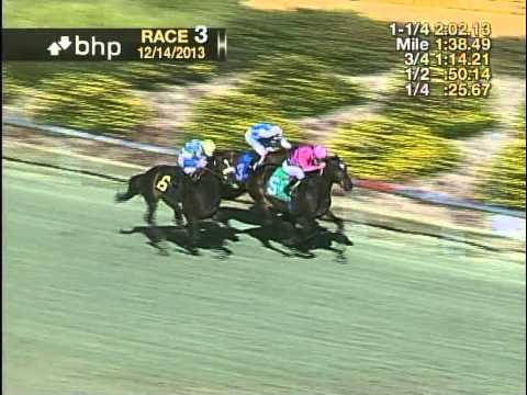 The 31st Running of Hollywood Turf Cup (Grade II) - 250,000 Guaranteed