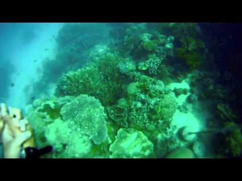 Great Barrier Reef