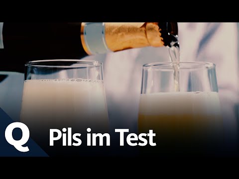 Uniform taste? How Pils is made and tastes | Quarks