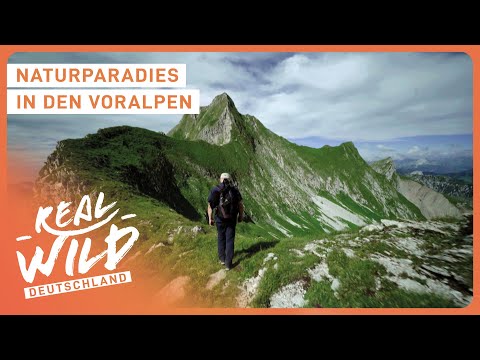 Doku: Das Juwel der Schweizer Voralpen | Der Vanil Noir