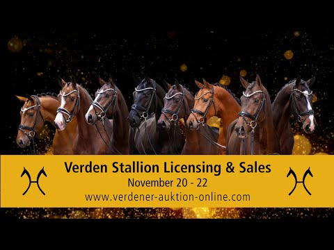 Verden Stallion Licensing & Sales on November 20 - 22