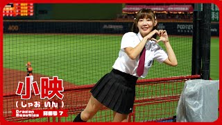 制服姿も可愛らしい😍 小映 ( しゃおいん ）Dragon Beauties 小龍女 味全龍啦啦隊  天母棒球場 2024/7/9【台湾チアTV】