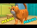 Kucing Meong Meong Lagu Anak Indonesia Balita Viral