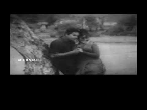 සිංහල චිත්‍රපට ගීත