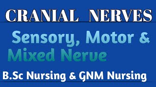 Cranial Nerves !! Sensory , Motor &amp; Mixed Nerves !! by Creation Nursing Classes