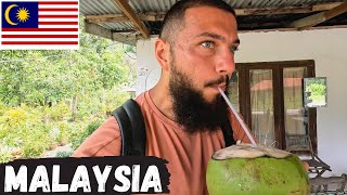 $22 Coconut In Langkawi Island, Malaysia 🇲🇾