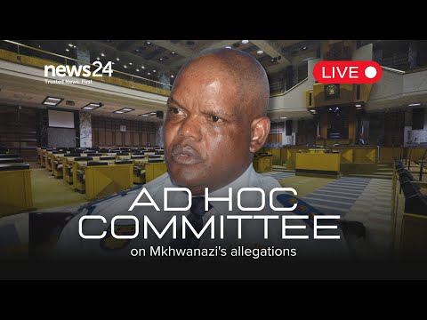 WATCH LIVE | Ad Hoc Committee hears evidence from Lieutenant-General Khomotso Phahlane
