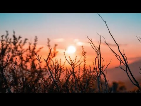 Salmo 113 - Silvestre Kuhlmann