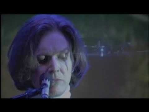 David Sylvian - Live in Japan