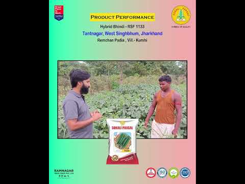 Hybrid Bhindi – RSF 1133