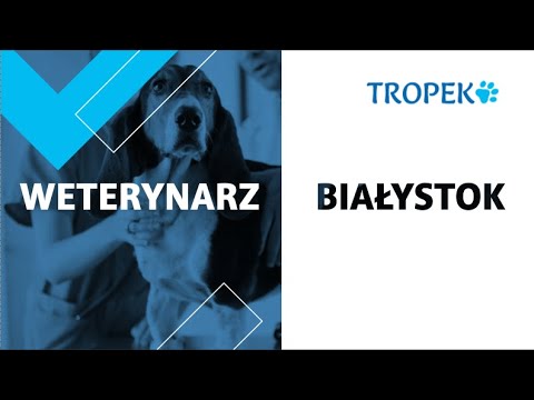 Zobacz filmy, Tropek Przychodnia weterynaryjna Katarzyna Żakiewicz, Białystok
