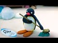 Pingu At Home Pingu Official Channel Cartoons For Kids