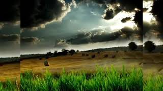 Download lagu Saujana-Sepohon Kayu mp3 Download lagu Saujana-Sepohon Kayu mp3