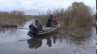 Ловля щуки на лягушку живую