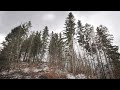 Howling Wind Relaxing Sound 9 Hours Nature White Noise Sleep Study