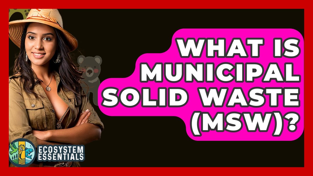 What Is Municipal Solid Waste (MSW)? - Ecosystem Essentials