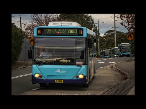 [ZF KICKDOWN] CDC Hillsbus m/o 8444 (Custom Coaches 550 - Mercedes Benz O405NH)