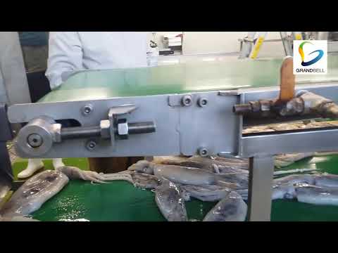 Squid Processing - Kalamar İşleme 1