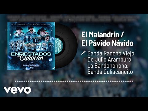 Banda Rancho Viejo, Banda Culiacancito - El Malandrín / El Pávido Návido (Audio/En Vivo)