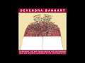 Devendra Banhart - The Charles C. Leary