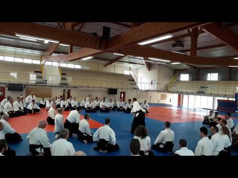 Christian Tissier Shihan, Dijon 2019