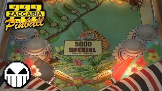Zaccaria Pinball: Wood's Queen Retro (PC) Gameplay